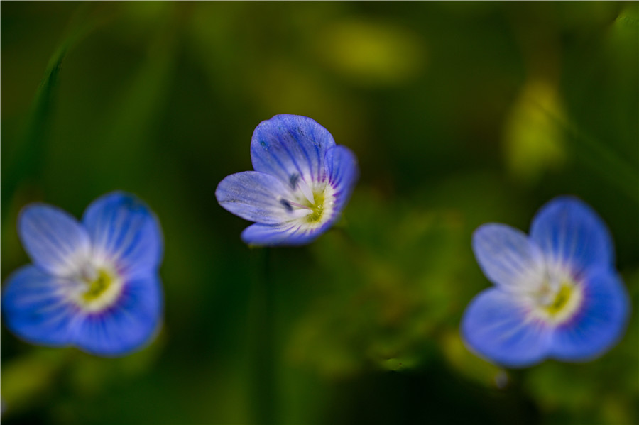 ICphoto(qun)ƷՈ(qng)D(zhun)d