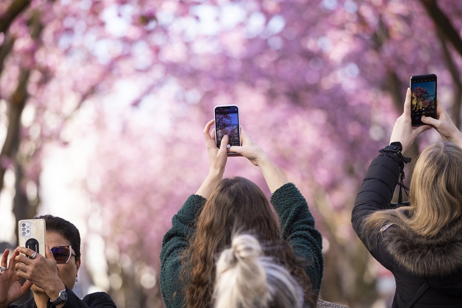 IC photo(qun)ƷՈD(zhun)d