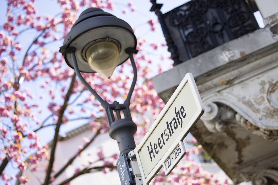 IC photo(qun)ƷՈ(qng)D(zhun)d