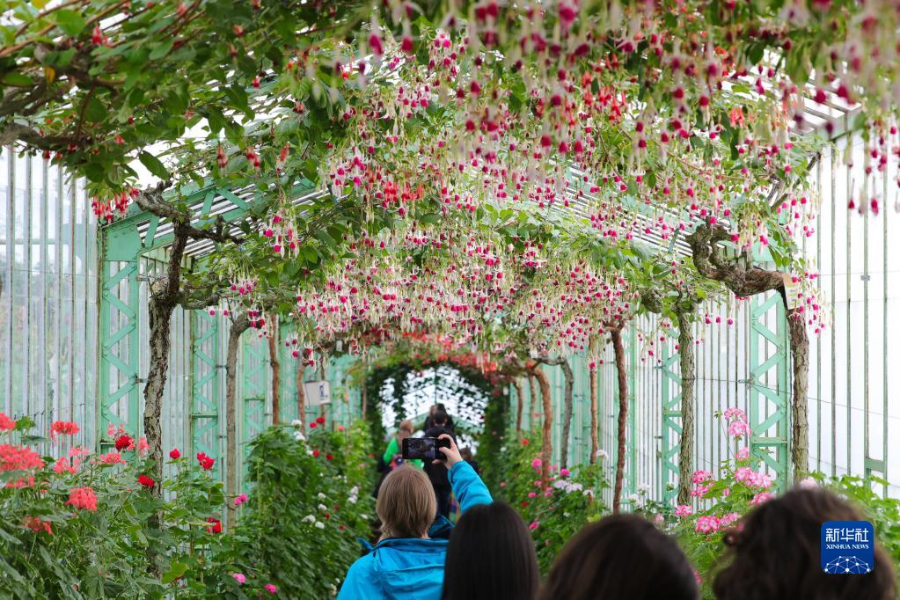 414գ˂ڱr^όmҜҡAӛ  z