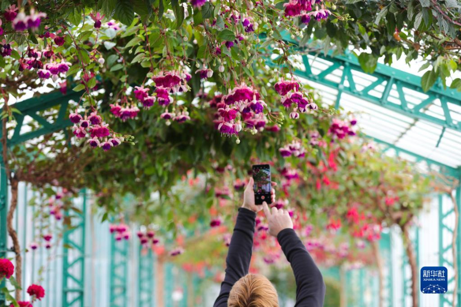 414գ˂ڱr^όmҜAӛ  z