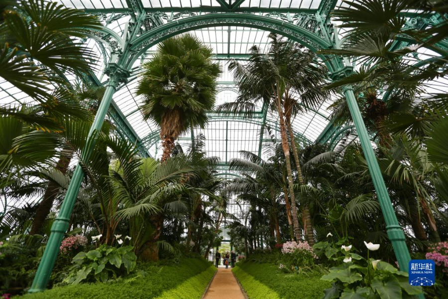 414˂ڱr^όmҜҡAӛ  z