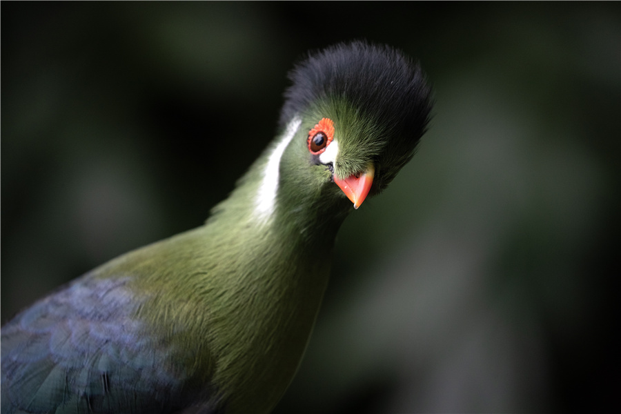 ICphoto(qun)ƷՈD(zhun)d