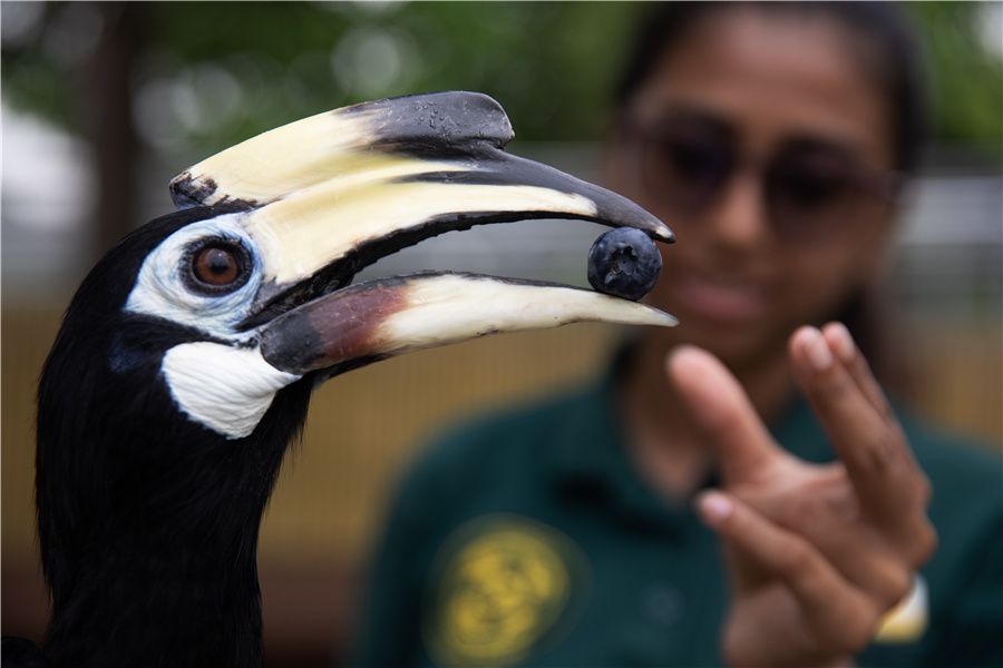 ICphoto(qun)ƷՈ(qng)D(zhun)d