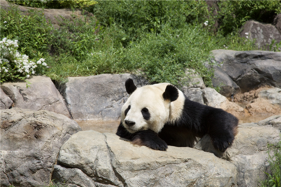 ICphoto(qun)ƷՈD(zhun)d