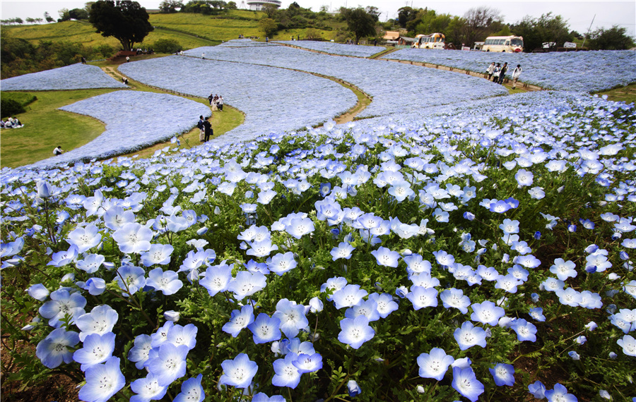 ICphoto(qun)ƷՈ(qng)D(zhun)d