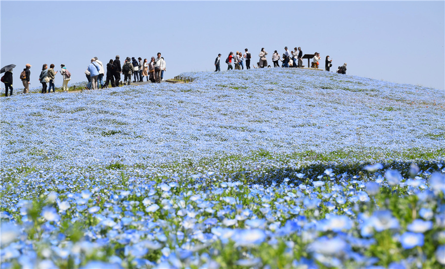 ICphoto(qun)ƷՈ(qng)D(zhun)d