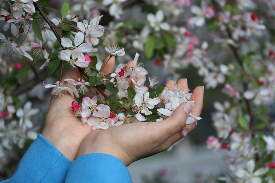 ICphoto(qun)ƷՈD(zhun)d