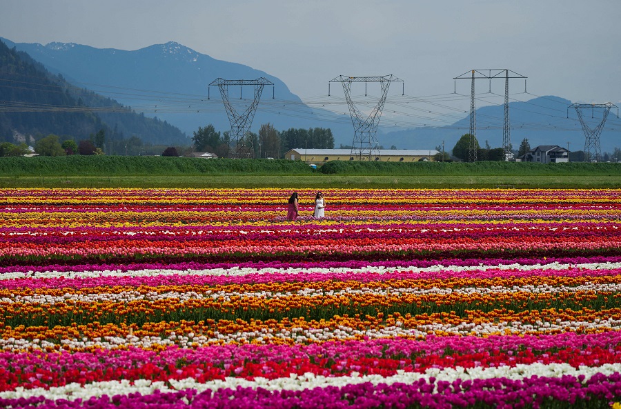 ICphoto(qun)ƷՈD(zhun)d