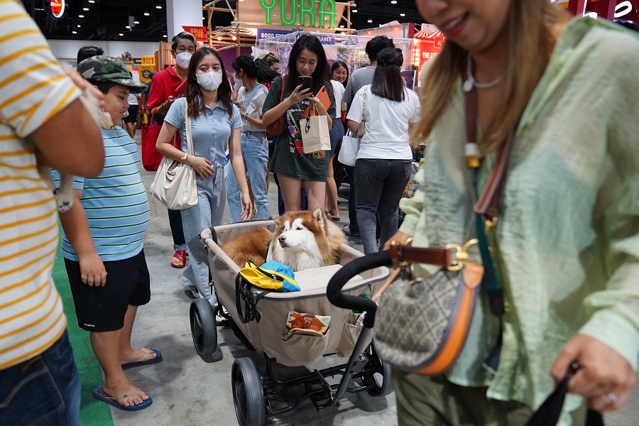 IC photoƷՈD(zhun)d