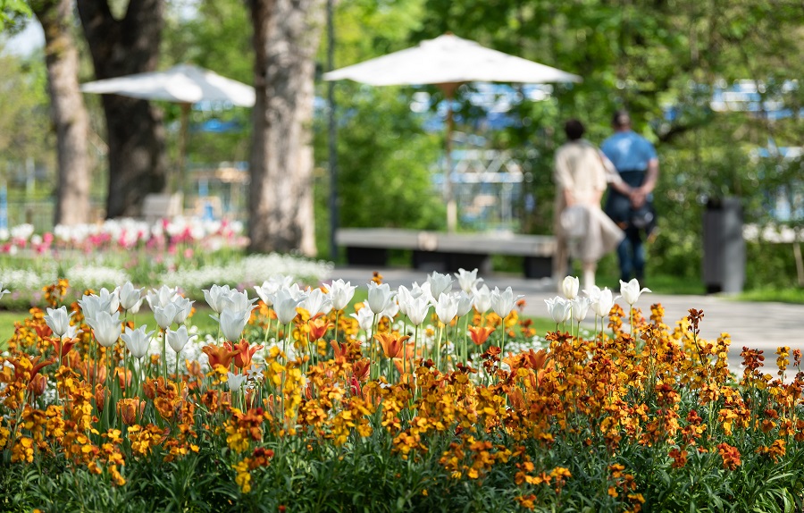 IC photo(qun)ƷՈ(qng)D(zhun)d