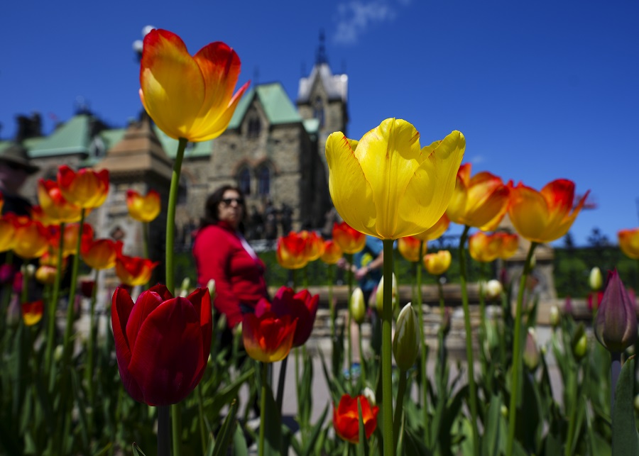 IC photo(qun)ƷՈ(qng)D(zhun)d