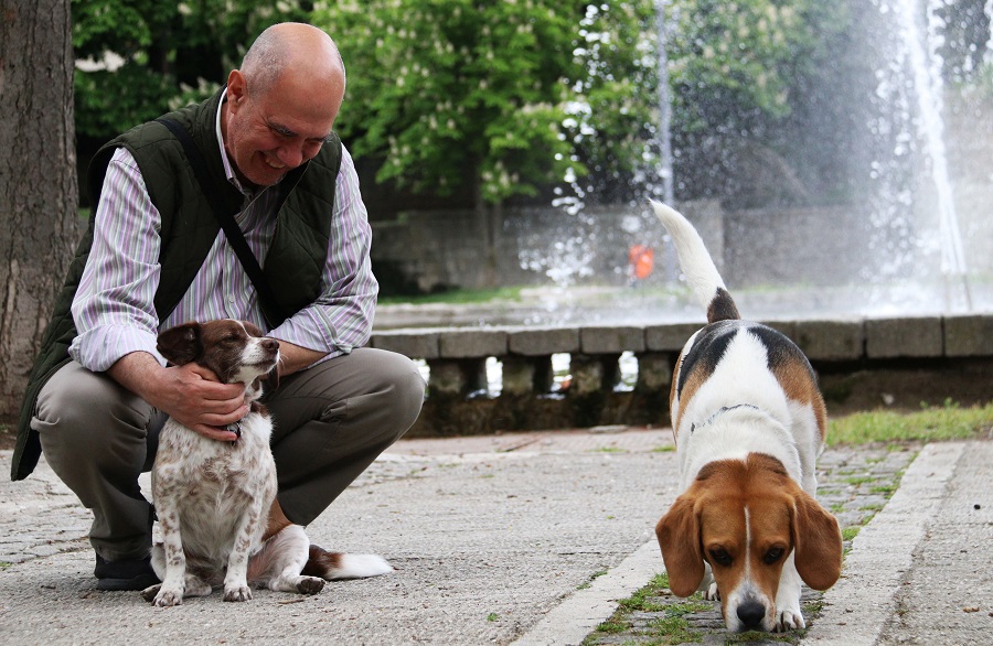 IC photo(qun)ƷՈD(zhun)d