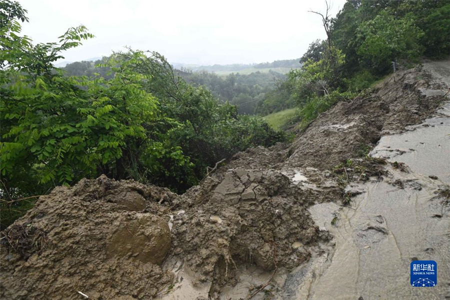 @519-_R^(q)၆Ĕzɽw¬F(xin)Al(f)Zᡤ˹z