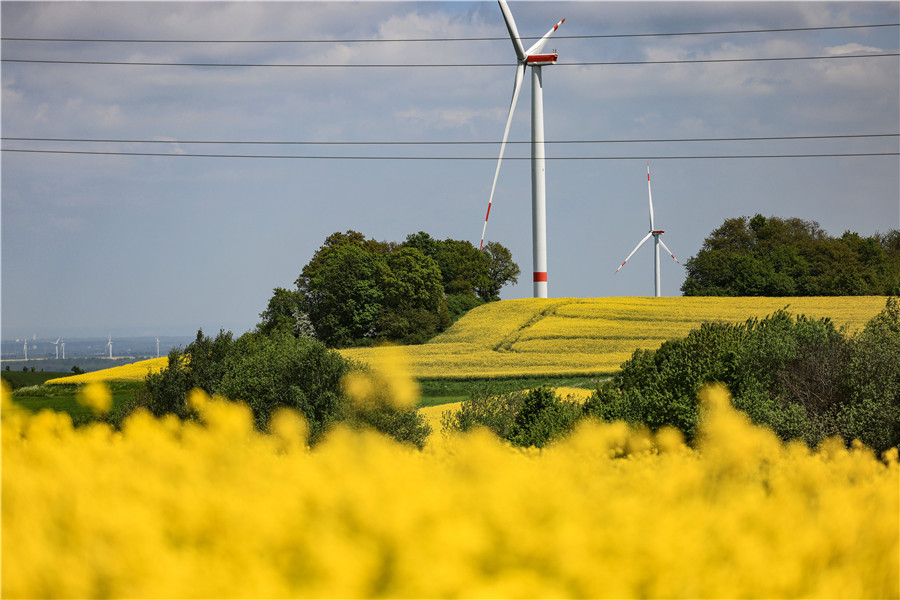 IC photoƷՈDd