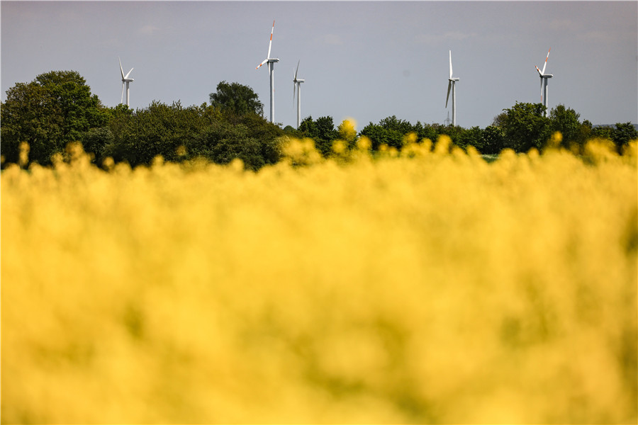 IC photoƷՈDd