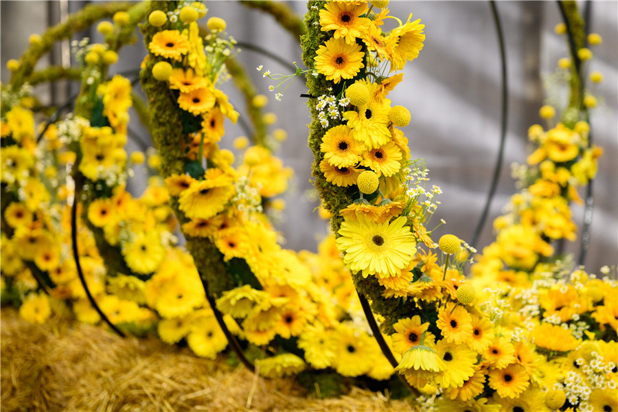 IC photo(qun)ƷՈD(zhun)d