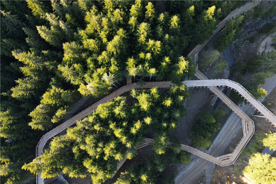 IC photo(qun)ƷՈ(qng)D(zhun)d