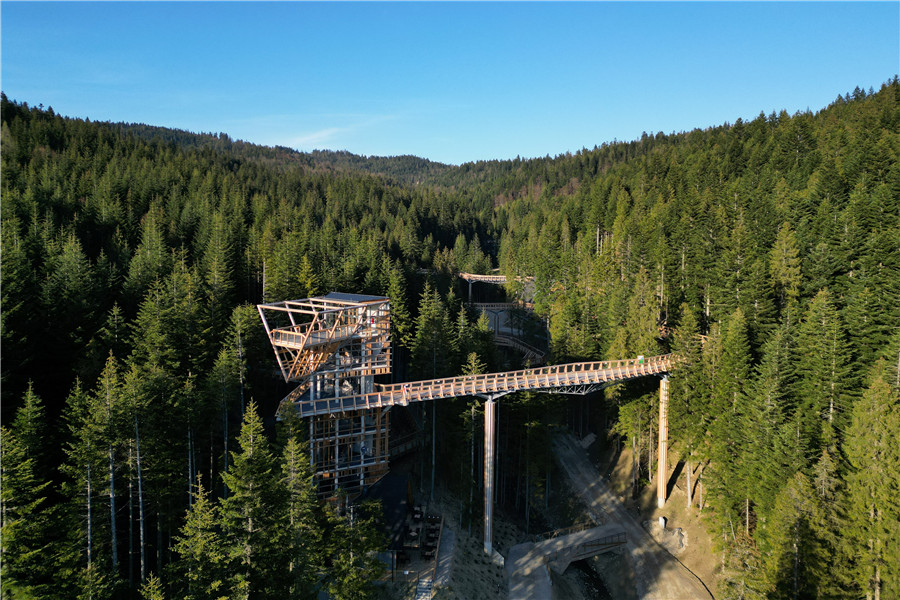 IC photo(qun)ƷՈ(qng)D(zhun)d