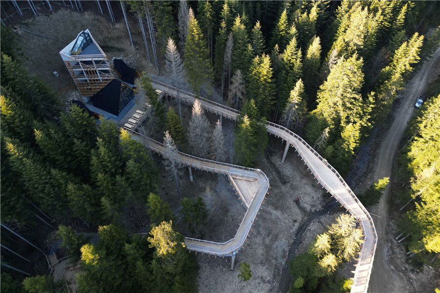 IC photo(qun)ƷՈD(zhun)d