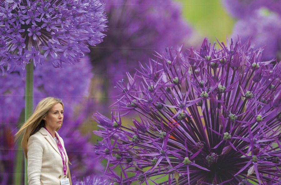 IC photo(qun)ƷՈD(zhun)d