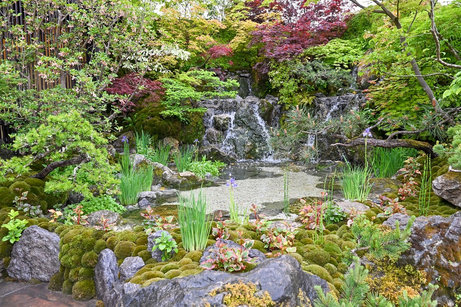 IC photo(qun)ƷՈD(zhun)d