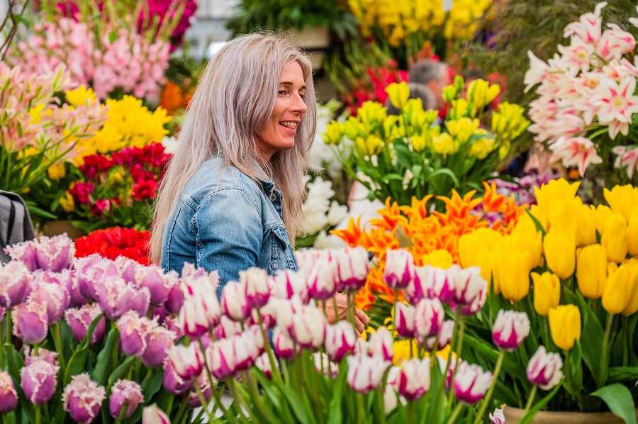 IC photo(qun)ƷՈ(qng)D(zhun)d