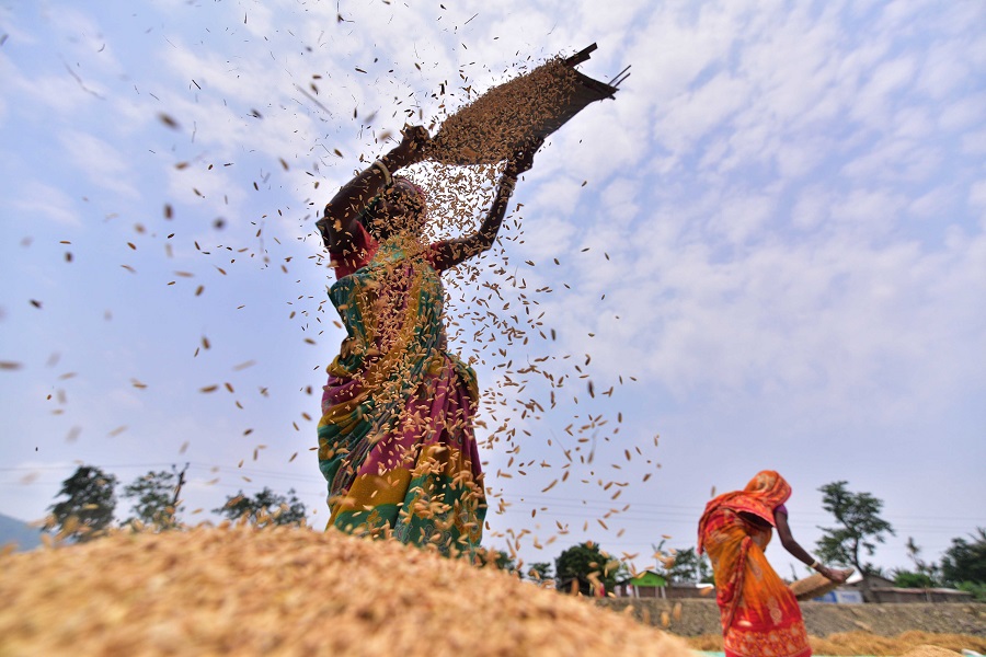 IC photo(qun)ƷՈ(qng)D(zhun)d