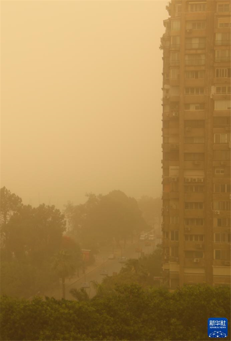 61_(ki)_\ɳmСAӛ ȄP z