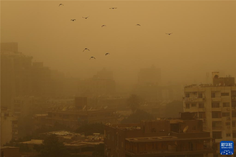 61գ__\ɳmAӛ ȄP z