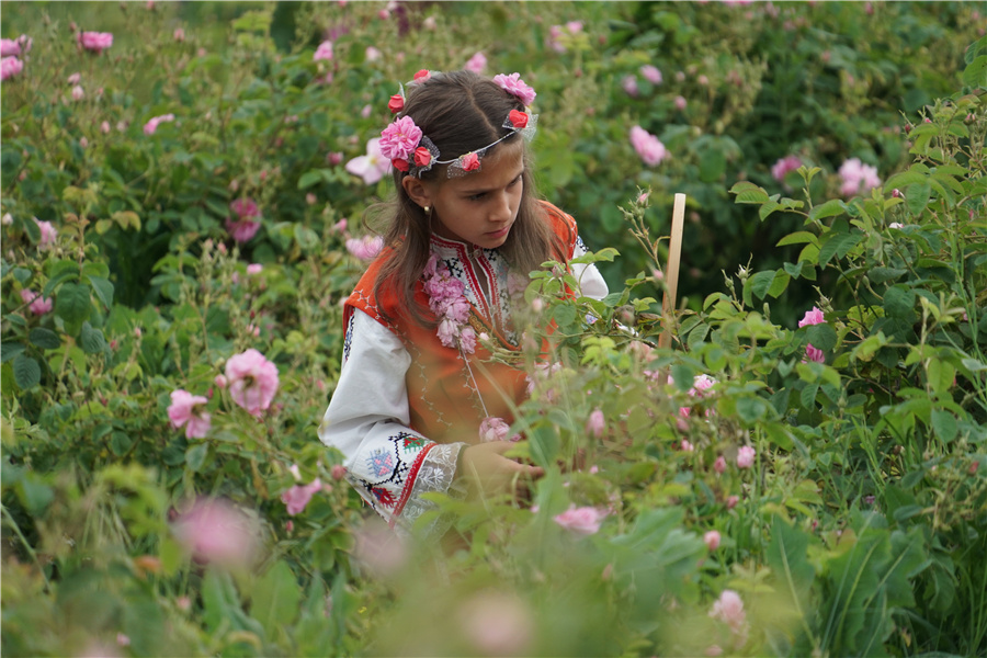 ICphoto(qun)ƷՈ(qng)D(zhun)d