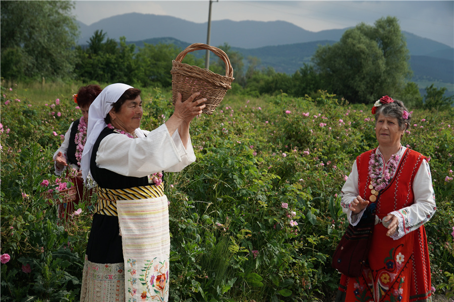 ICphoto(qun)ƷՈ(qng)D(zhun)d