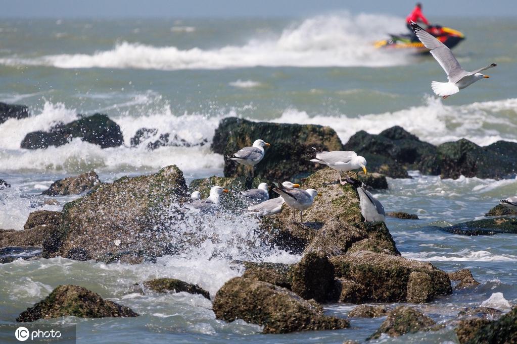 ICphoto(qun)ƷՈD(zhun)d