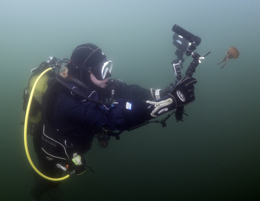 IC photo(qun)ƷՈD(zhun)d