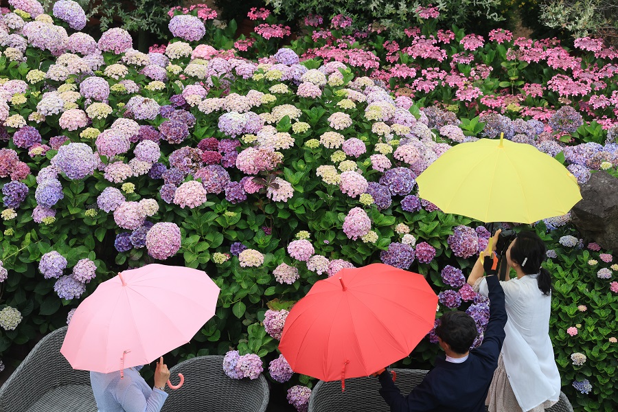 IC photo(qun)ƷՈ(qng)D(zhun)d