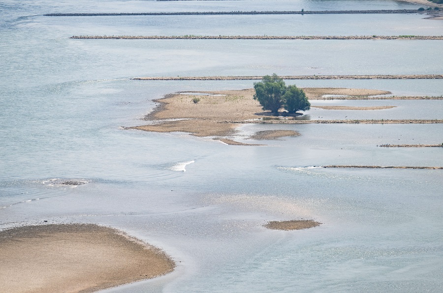 IC photo(qun)ƷՈ(qng)D(zhun)d