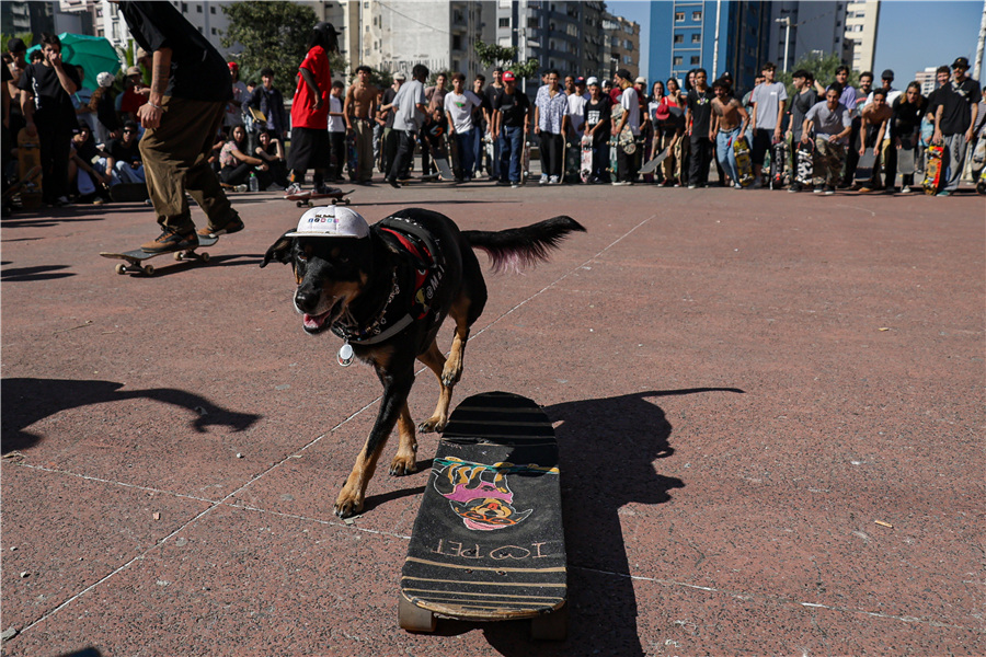 ICphoto(qun)ƷՈD(zhun)d