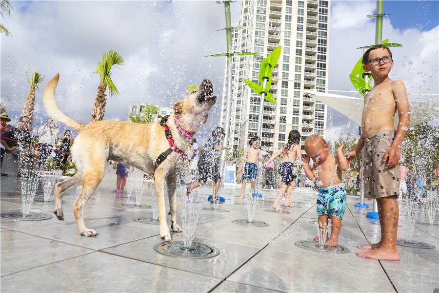 ICphoto(qun)ƷՈ(qng)D(zhun)d