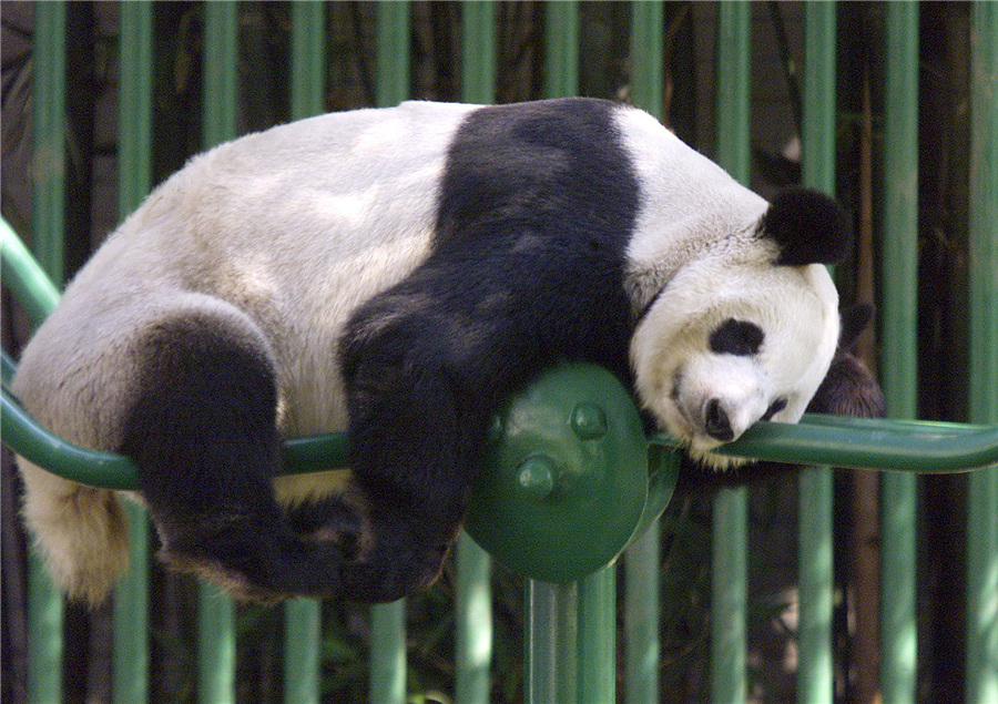 ICphoto(qun)ƷՈD(zhun)d