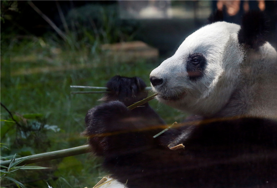 ICphoto(qun)ƷՈ(qng)D(zhun)d