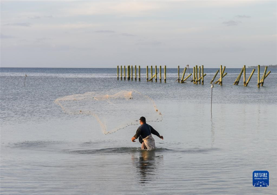 73ڜ׶Ŭ찢巨һں߅O