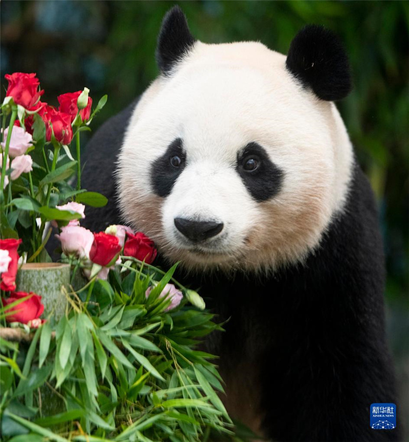 @λnܵеĐی@ĔzĴ؈یAݣYƬAl(f)ی@D