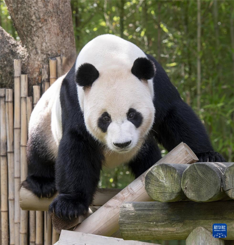 @λnܵеĐی@ĔzĴ؈@YƬAl(f)ی@D