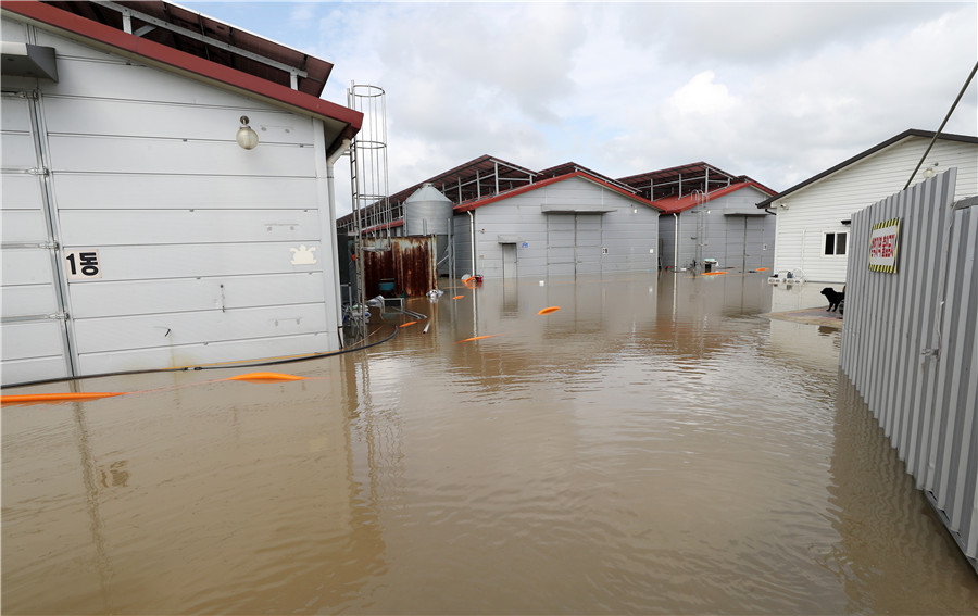 ICphoto(qun)ƷՈD(zhun)d