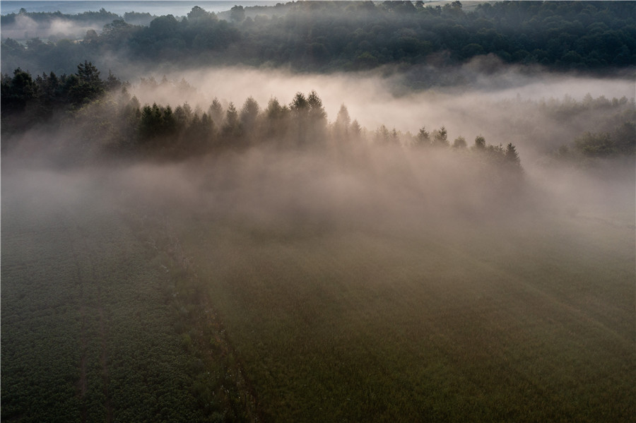 ICphoto(qun)ƷՈD(zhun)d