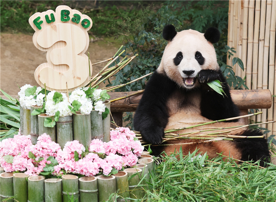 ICphoto(qun)ƷՈD(zhun)d