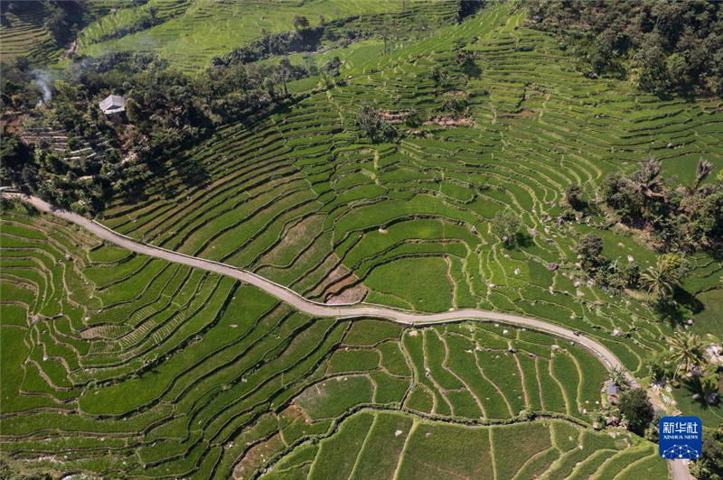 @720ӡצʡï؅^(q)l(xing)gĔzĵo˙C(j)Ƭ(dng)ǰֵի@Al(f)Sz