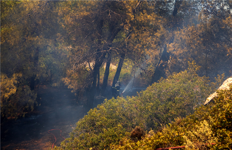 ICphoto(qun)ƷՈ(qng)D(zhun)d