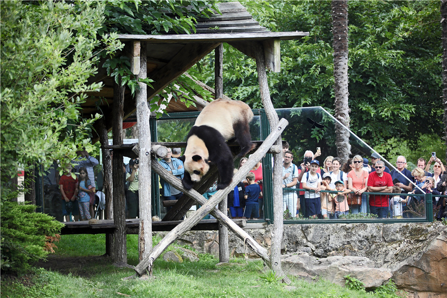 ICphoto(qun)ƷՈ(qng)D(zhun)d