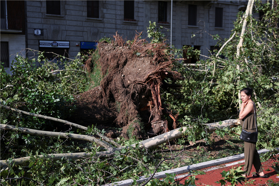 ICphoto(qun)ƷՈ(qng)D(zhun)d